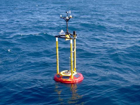 La temperatura del agua del Mar Mediterráneo supera los 31ºC este verano y marca varios récords históricos La temperatura del agua del Mar Mediterráneo supera los 31ºC este verano y marca varios récords históricos