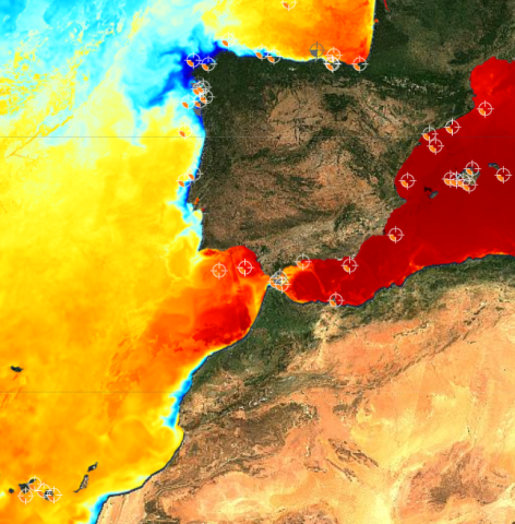 Temperatura del agua récord en el Mediterráneo Temperatura del agua récord en el Mediterráneo