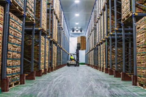Los puertos españoles refuerzan en Fruit Logistica su apuesta por el tráfico de productos frescos Los puertos españoles refuerzan en Fruit Logistica su apuesta por el tráfico de productos frescos