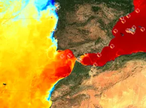 Temperatura del agua récord en el Mediterráneo