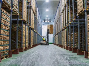 Los puertos españoles refuerzan en Fruit Logistica su apuesta por el tráfico de productos frescos